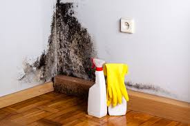 Best Dehumidification Services  in Kenwood Estates, FL